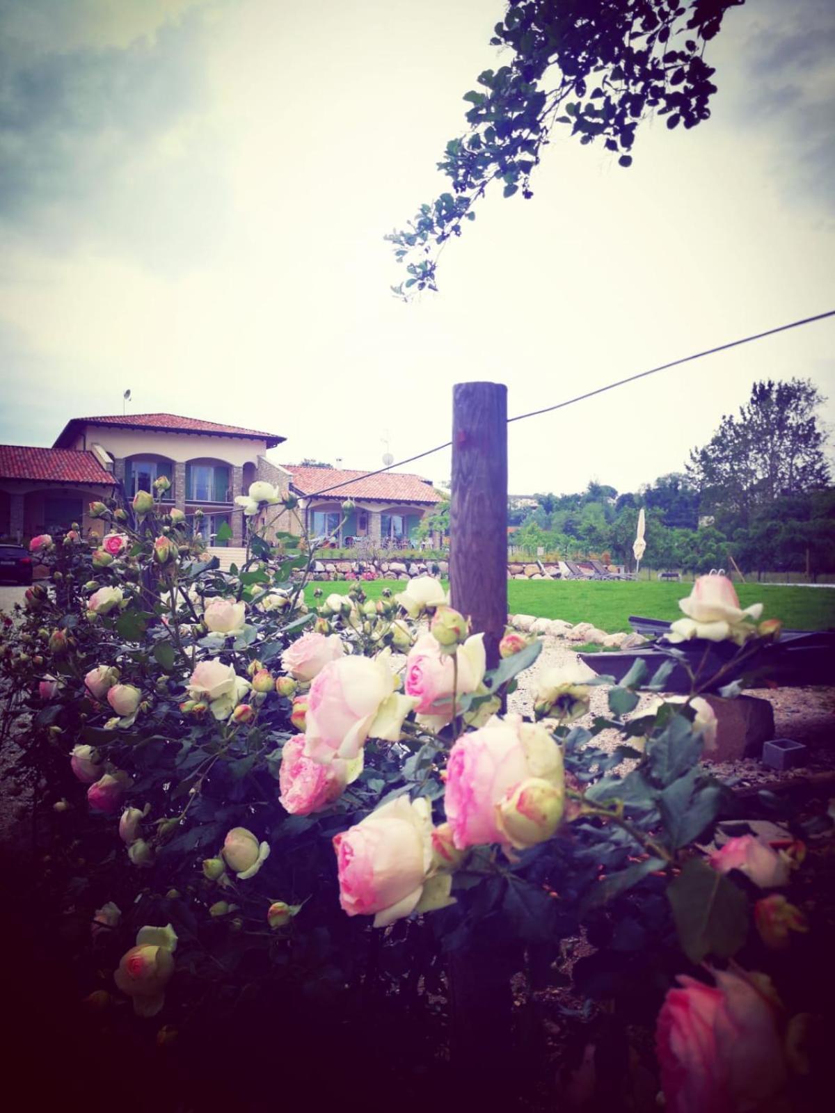Bed and Breakfast Orchidea Del Garda Peschiera del Garda Exterior foto